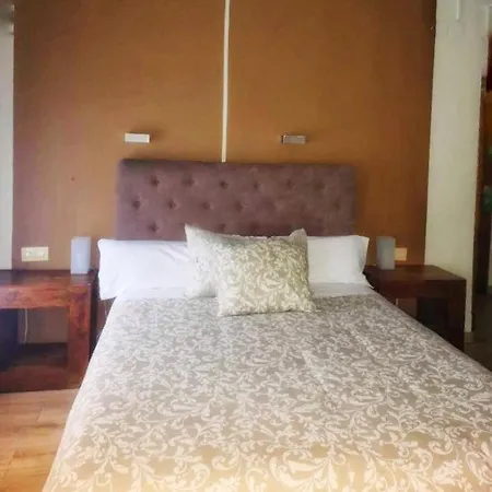 플라자 게스트하우스 *